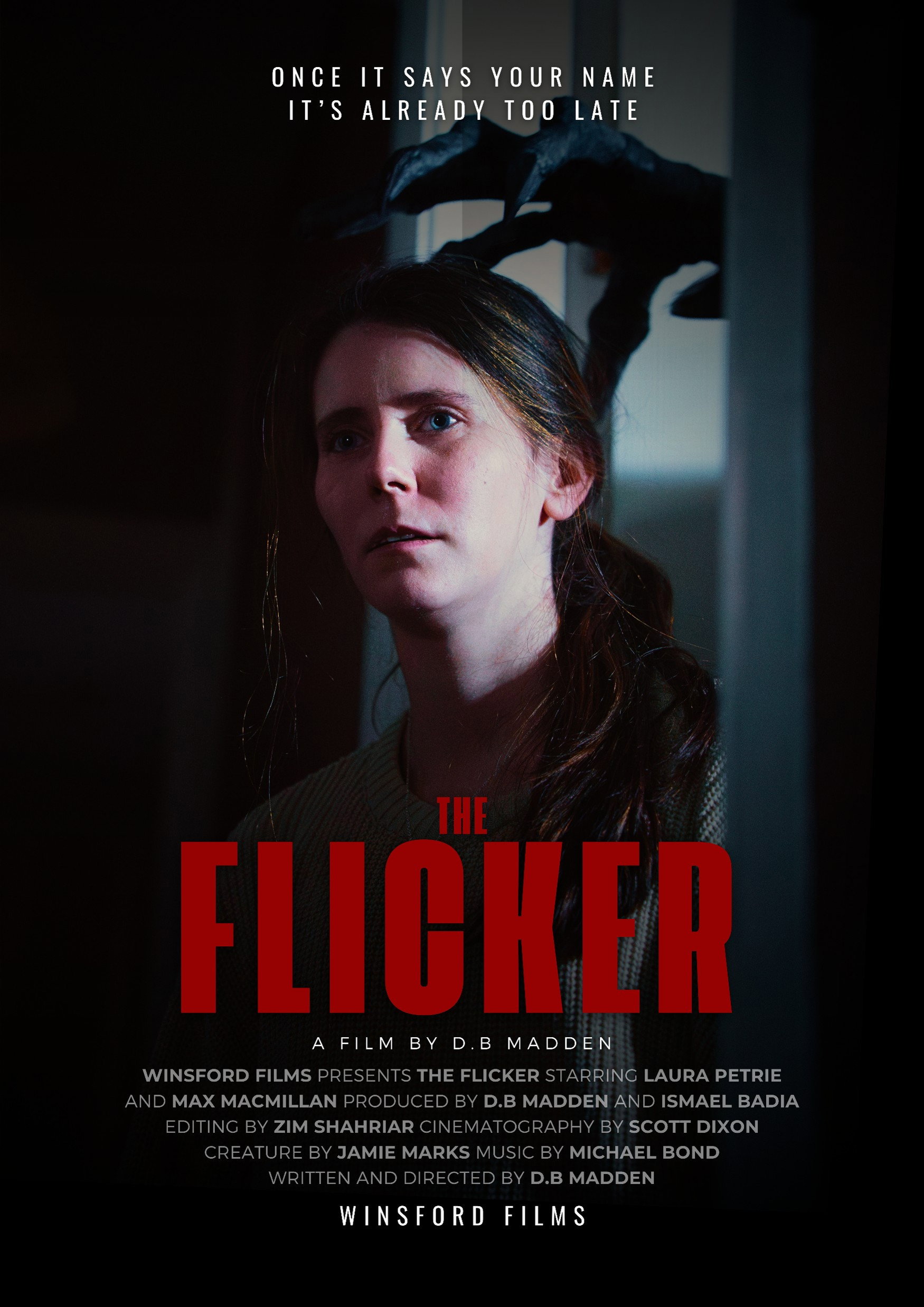 The Flicker (2026) poster