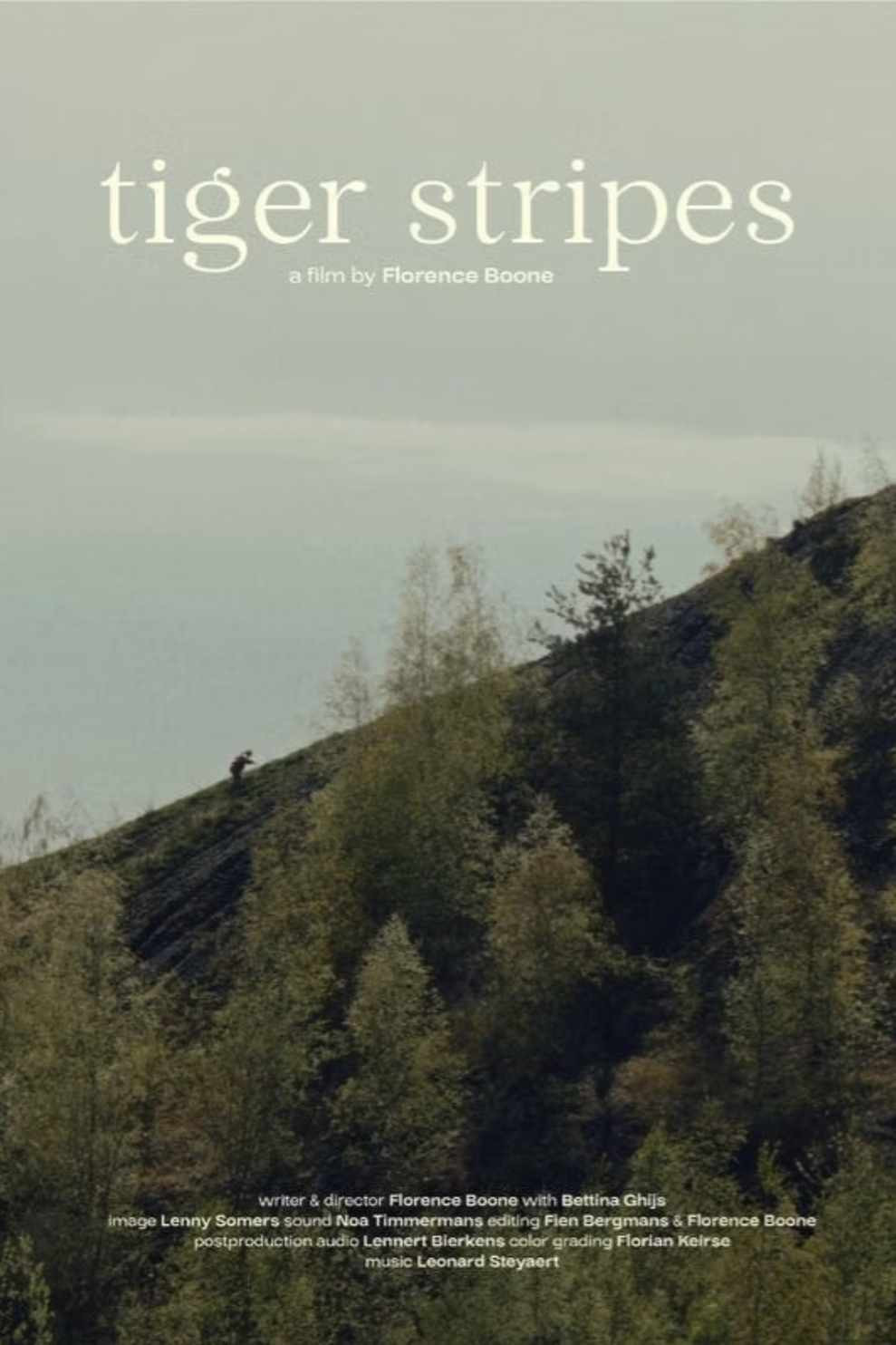 Tiger Stripes (2024) poster
