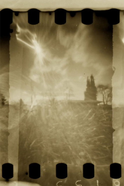 Pinhole Park (2021) poster