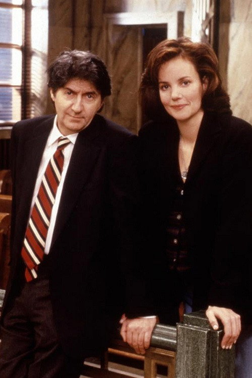 The Wright Verdicts (1995) poster