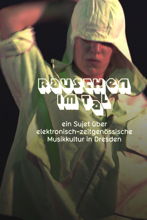 Rauschen im Tal (2026) poster