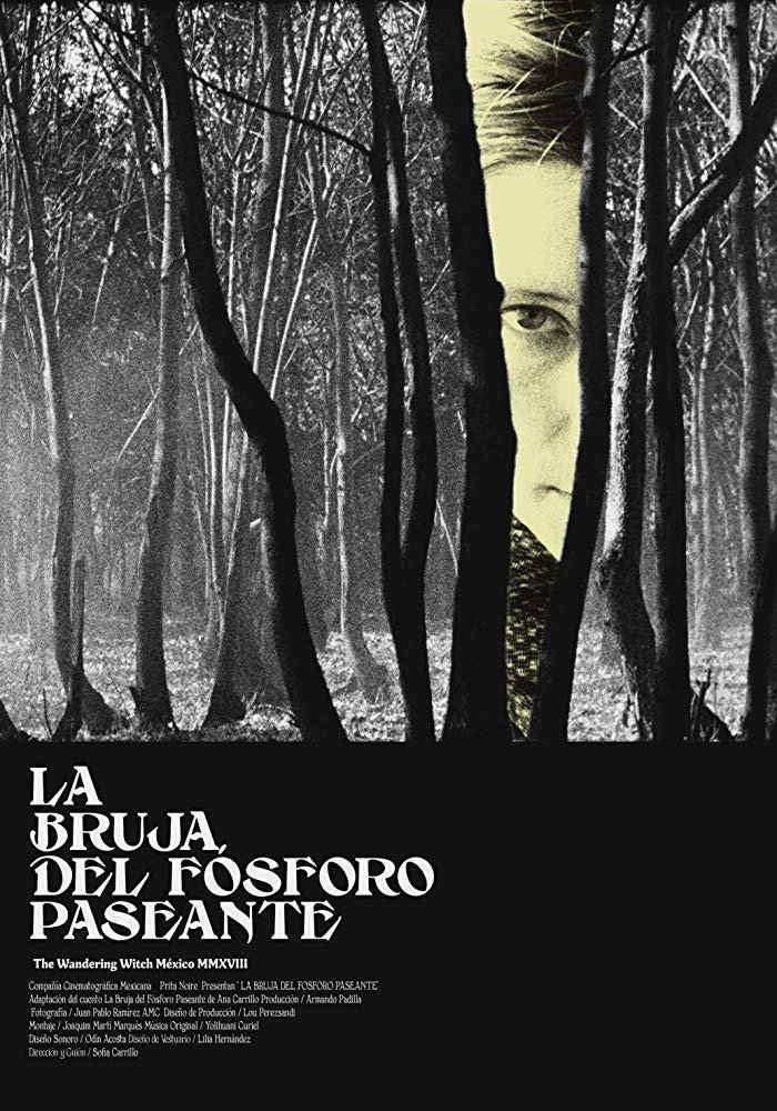 The Wandering Witch (2018) poster