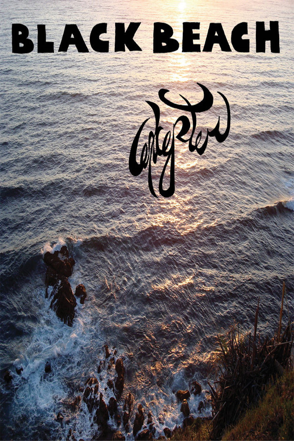 Excepter: Black Beach (2009) poster