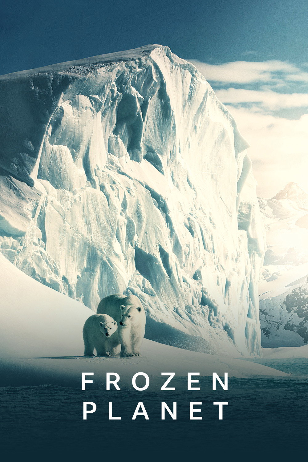 Frozen Planet (2011) poster