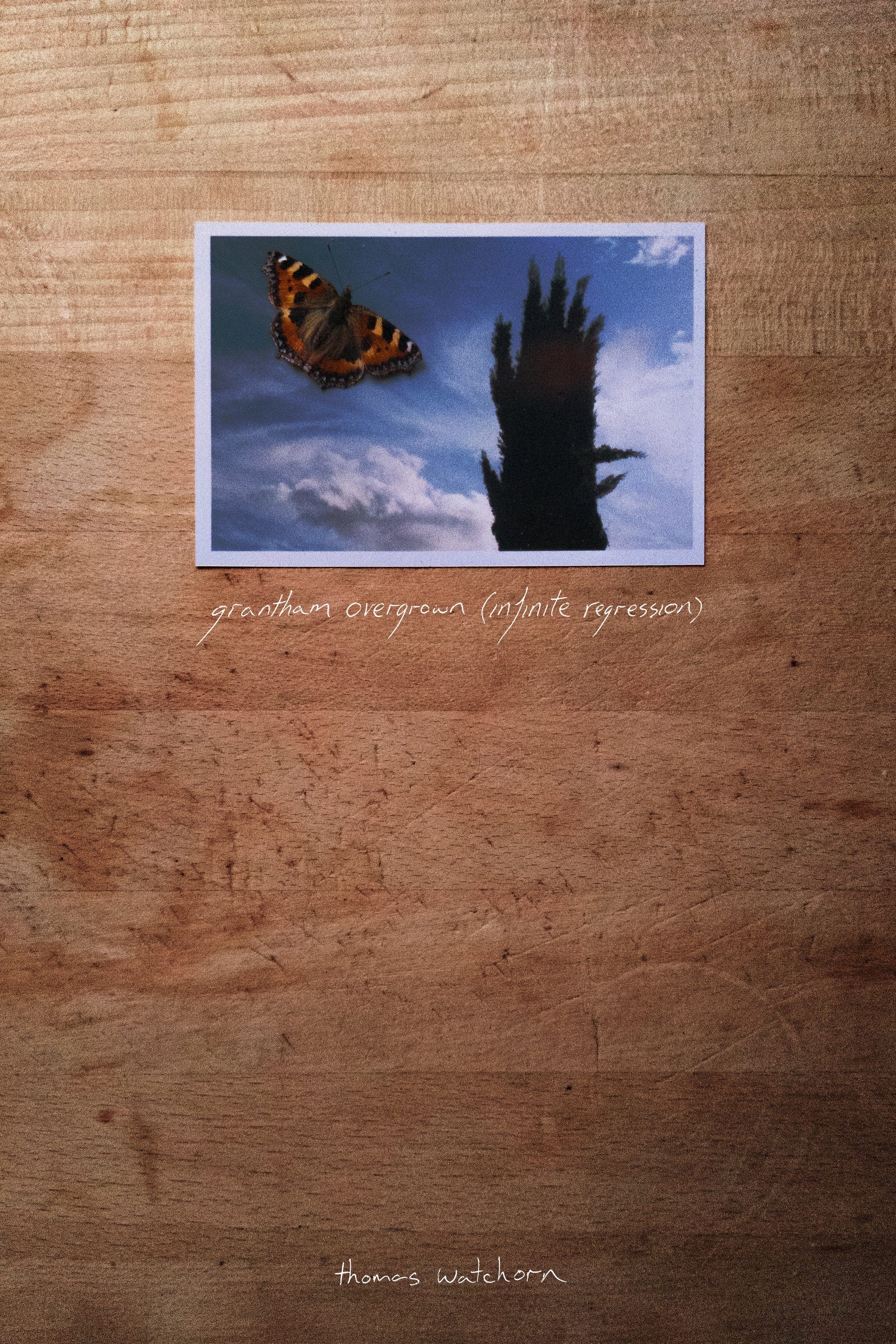 Grantham Overgrown (Infinite Regression) (2021) poster