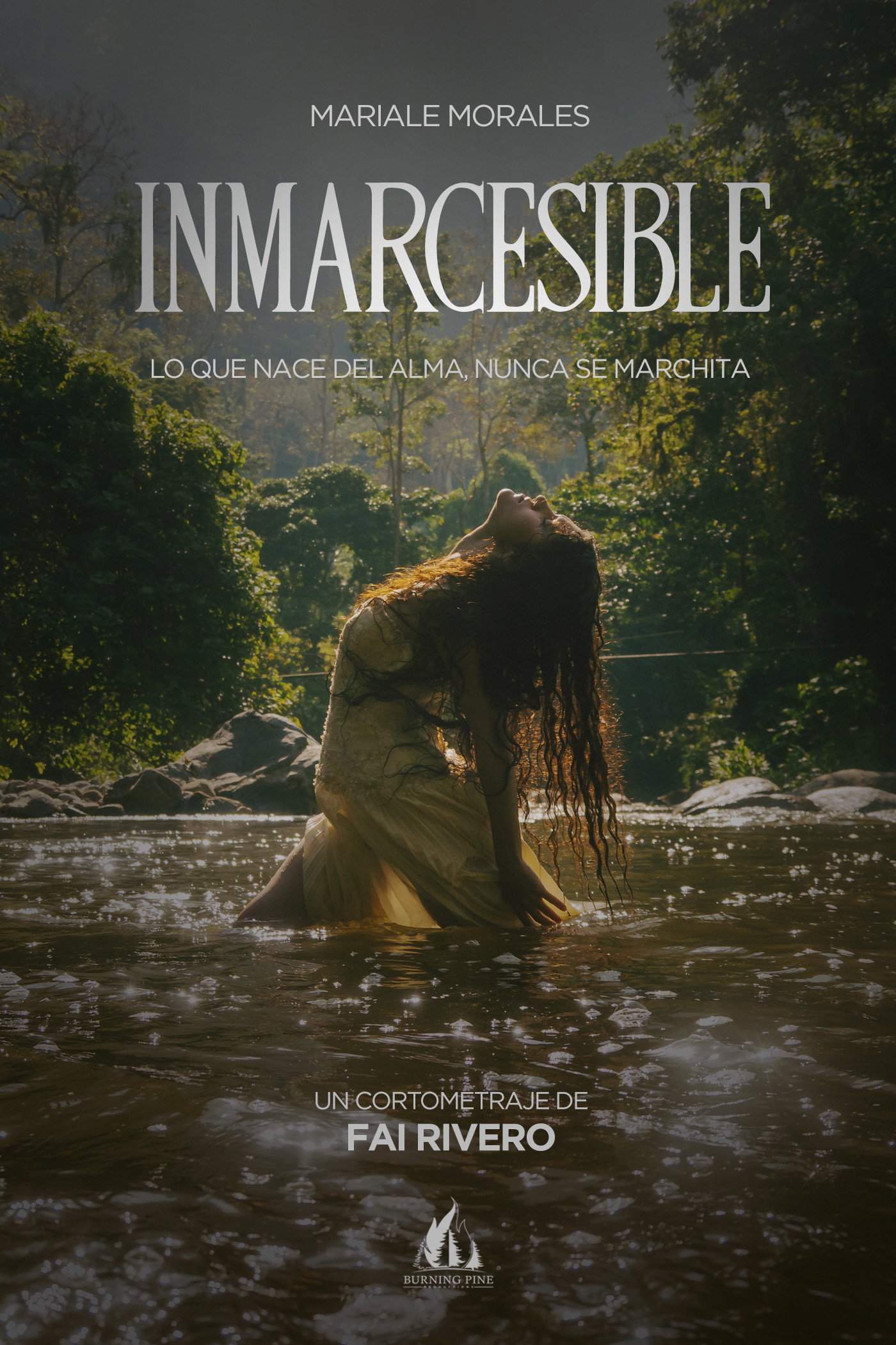 Unfading (2026) poster