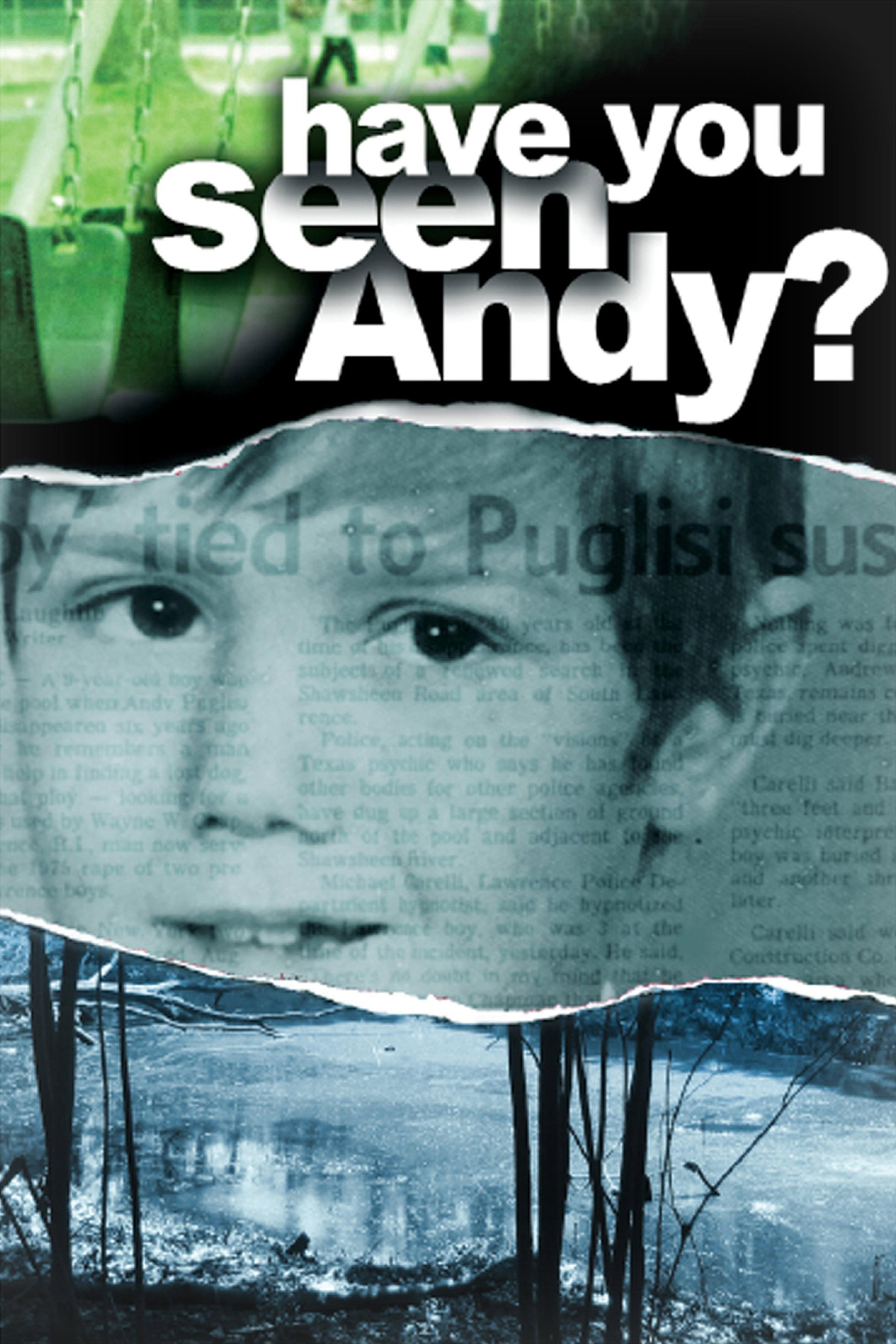 Have You Seen Andy? (2007) poster