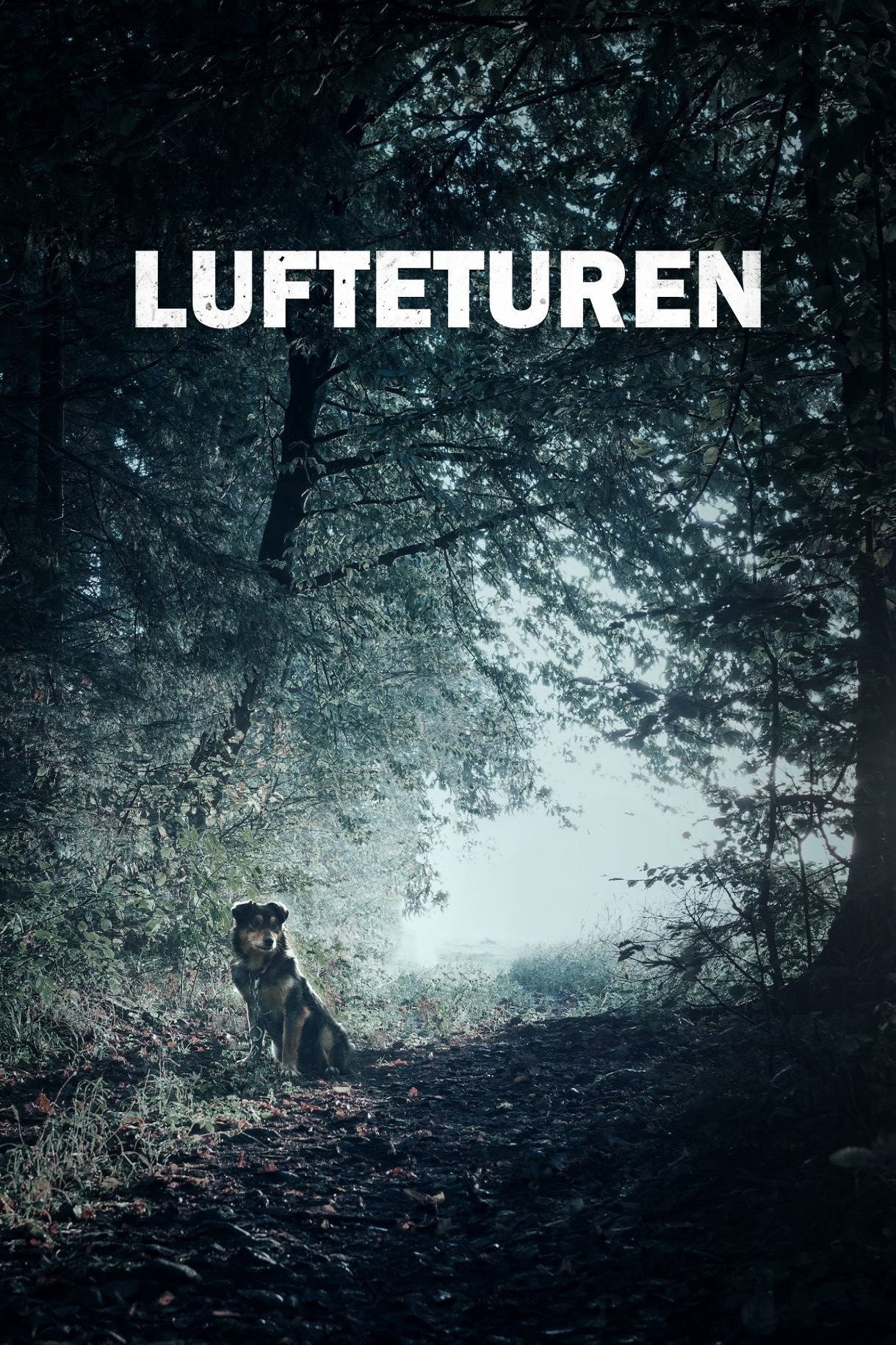 Lufteturen (2019) poster