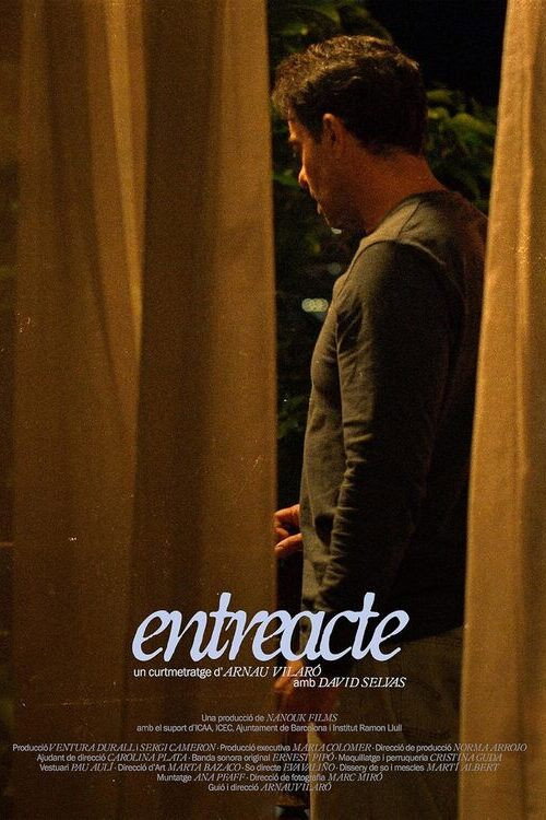 Intermission (2024) poster