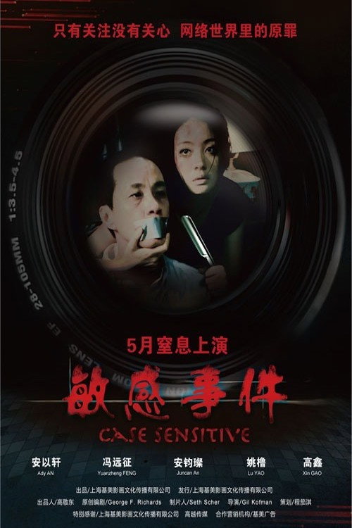 Case Sensitive (2011) poster