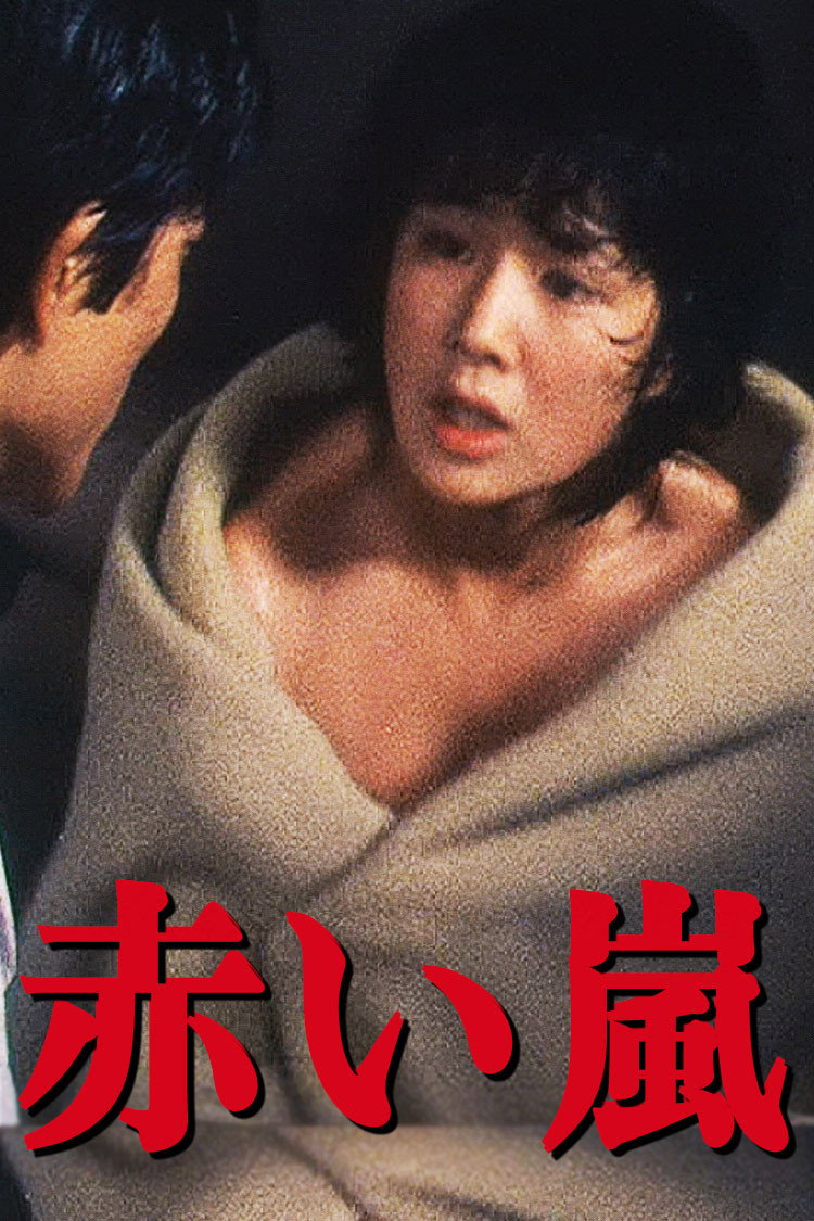 Red Storm (1979) poster