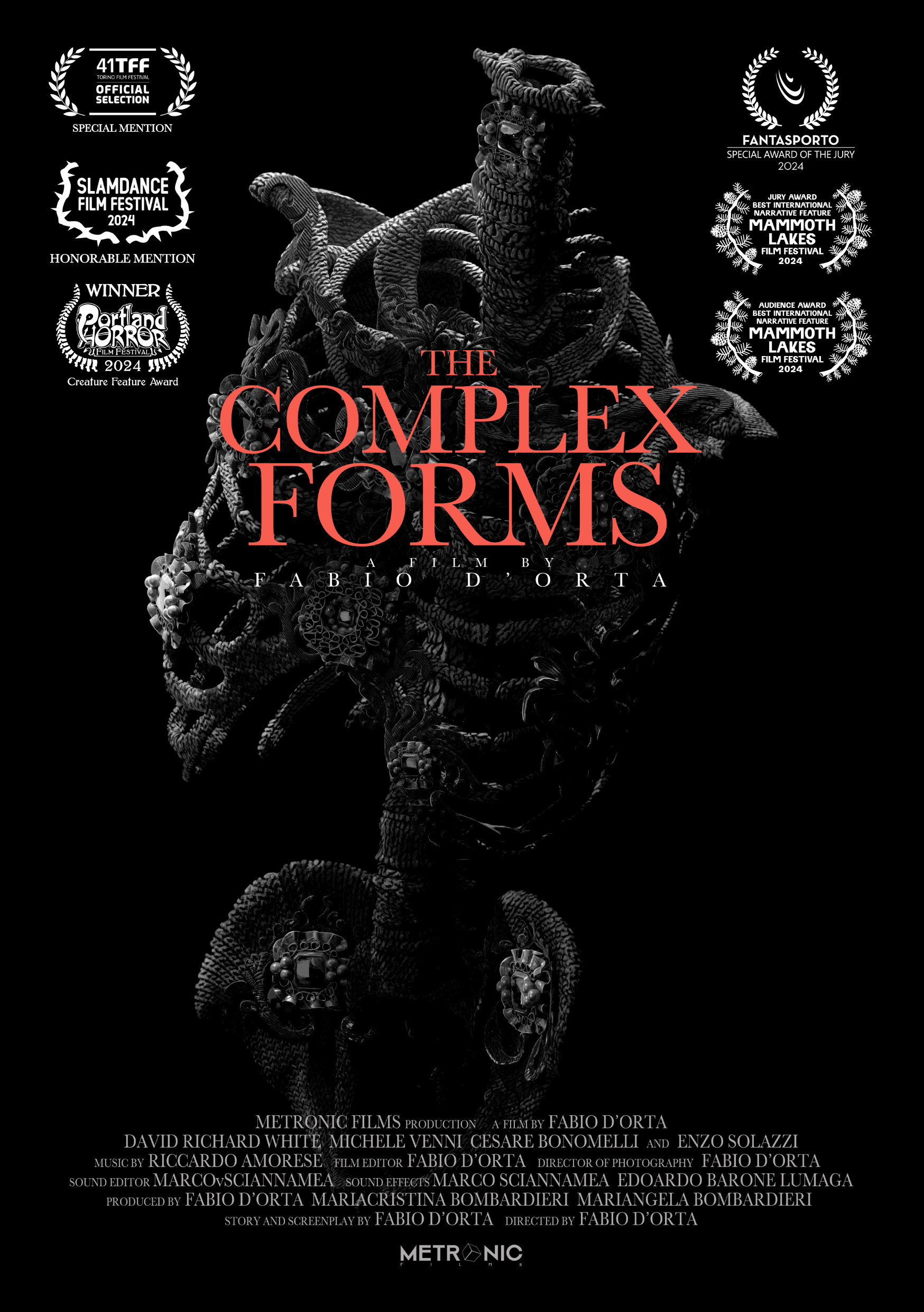 The Complex Forms (2024) poster