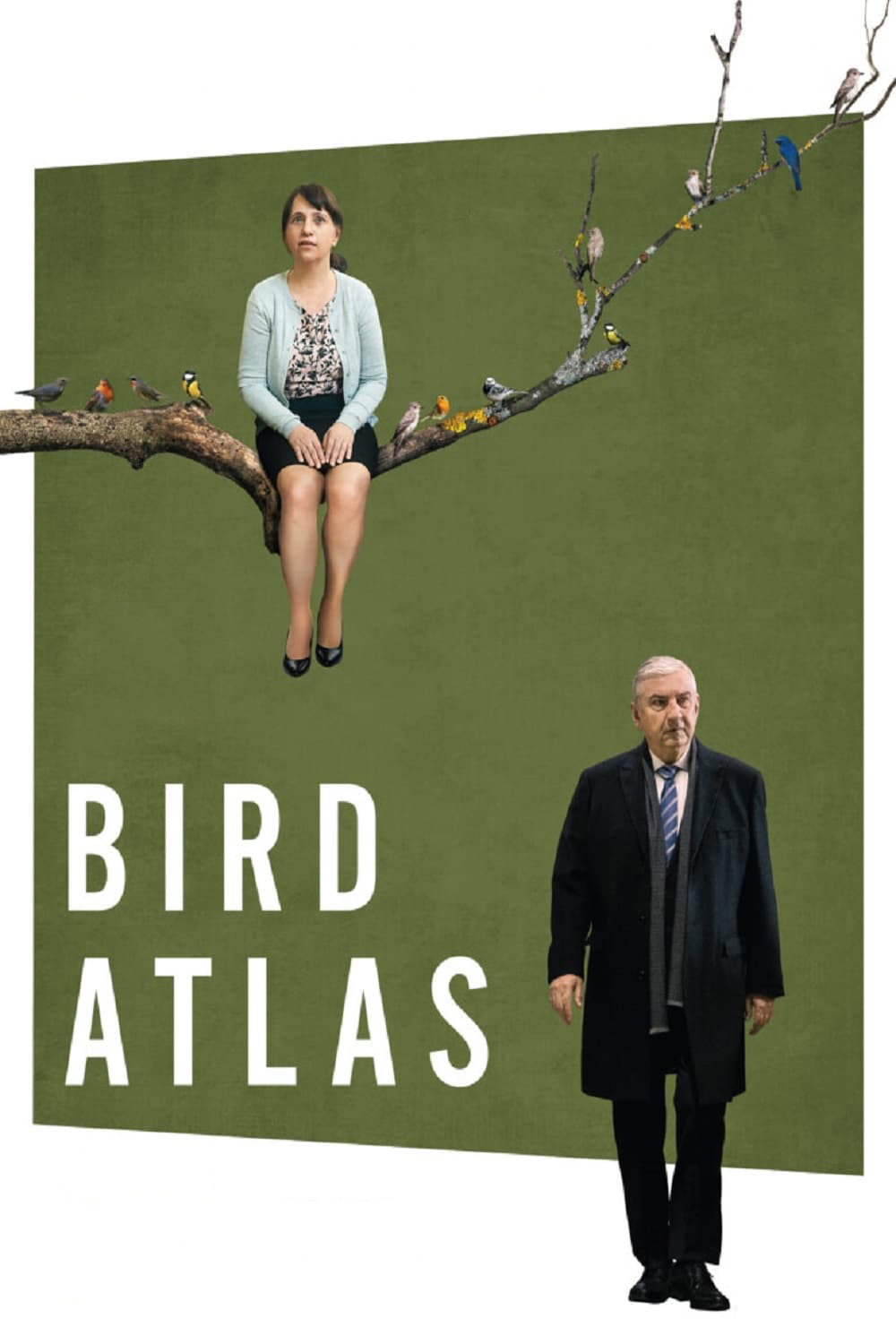 Bird Atlas (2021) poster
