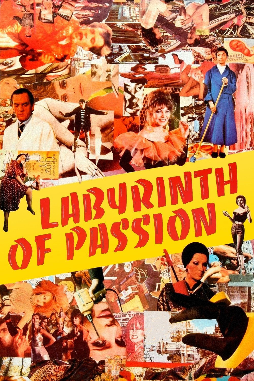 Labyrinth of Passion (1982) poster