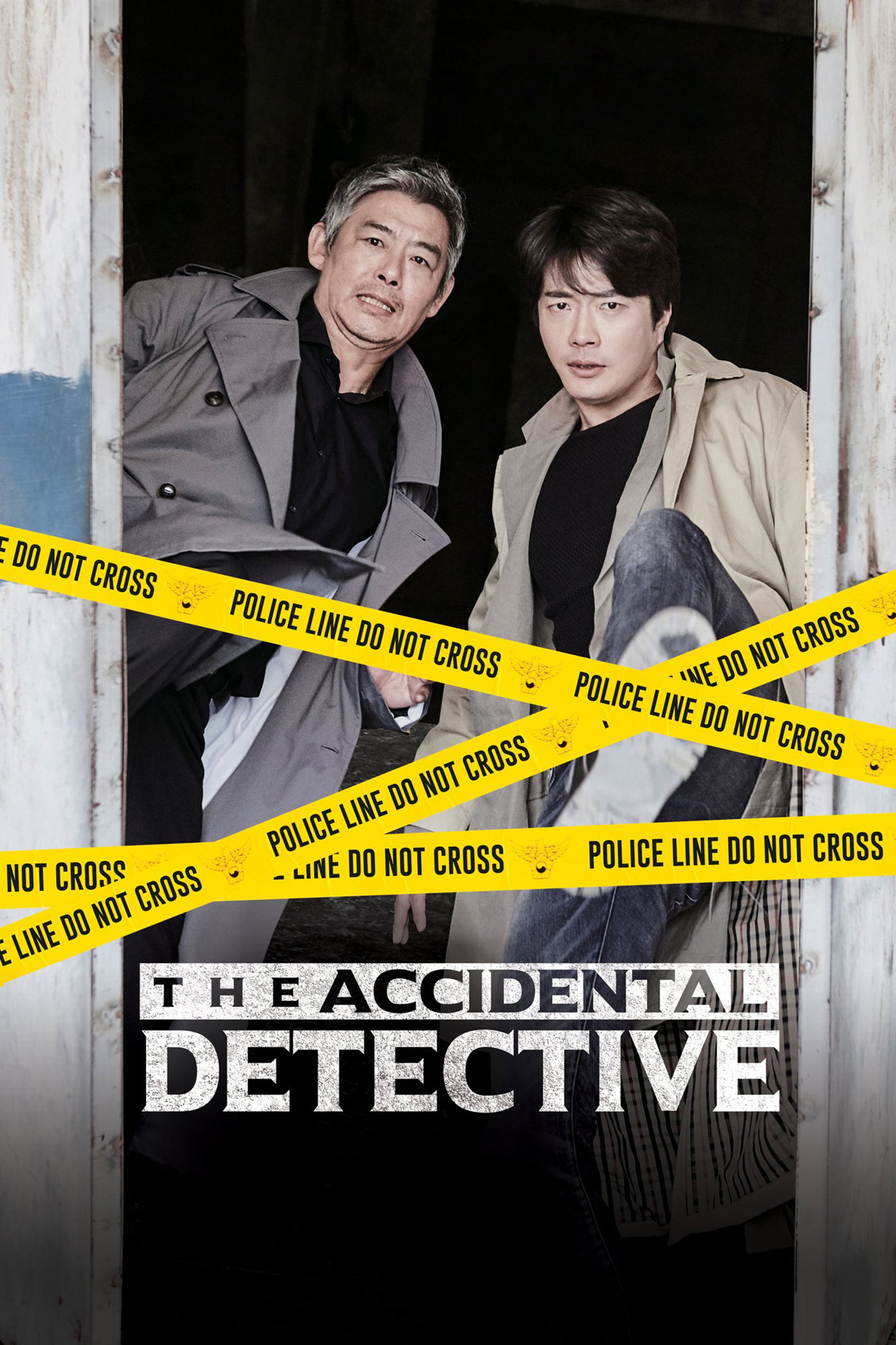 The Accidental Detective (2015) poster
