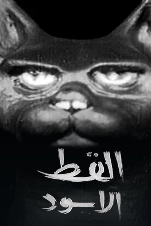The Black Cat (1964) poster