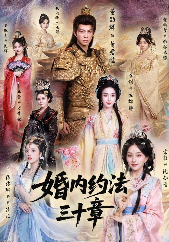 婚内约法三十章 (2026) poster