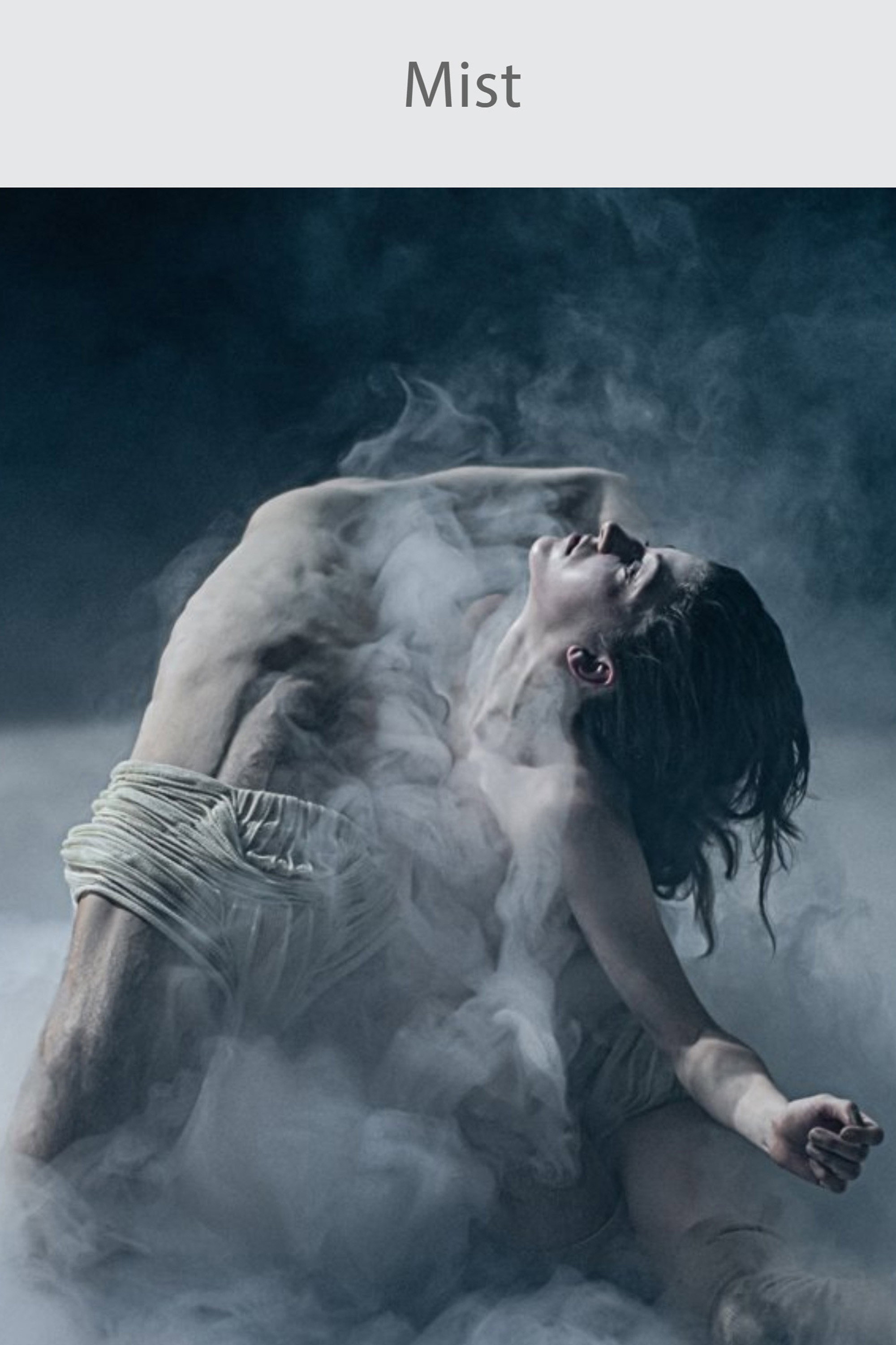 Mist (2022) poster