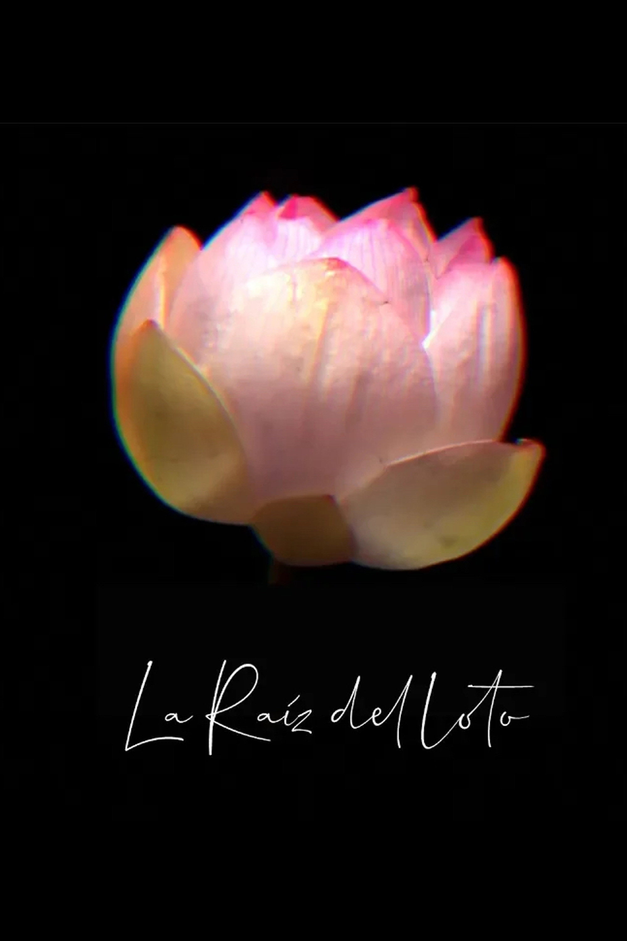 La Raíz del Loto (2018) poster