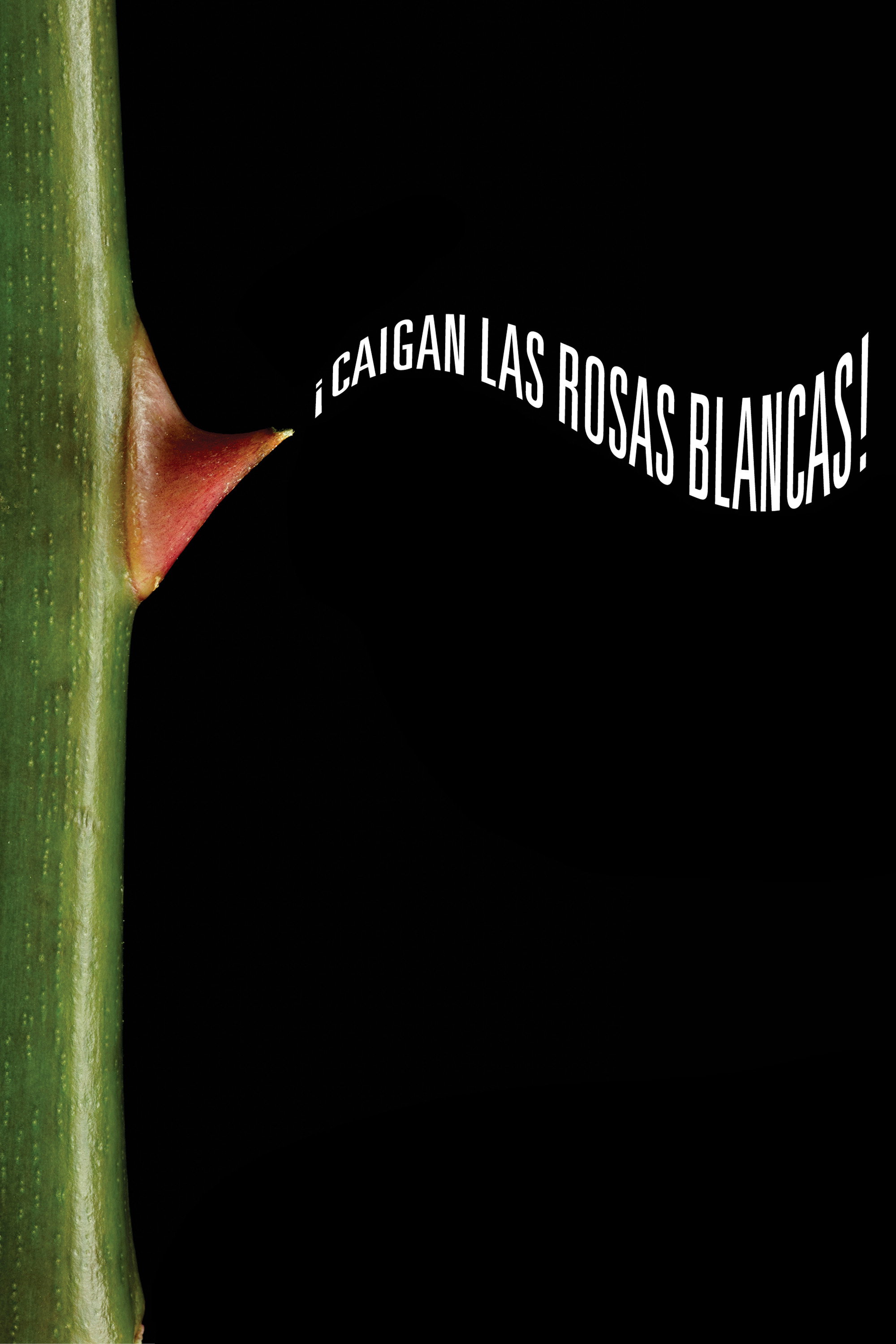 White Roses, Fall! (2025) poster