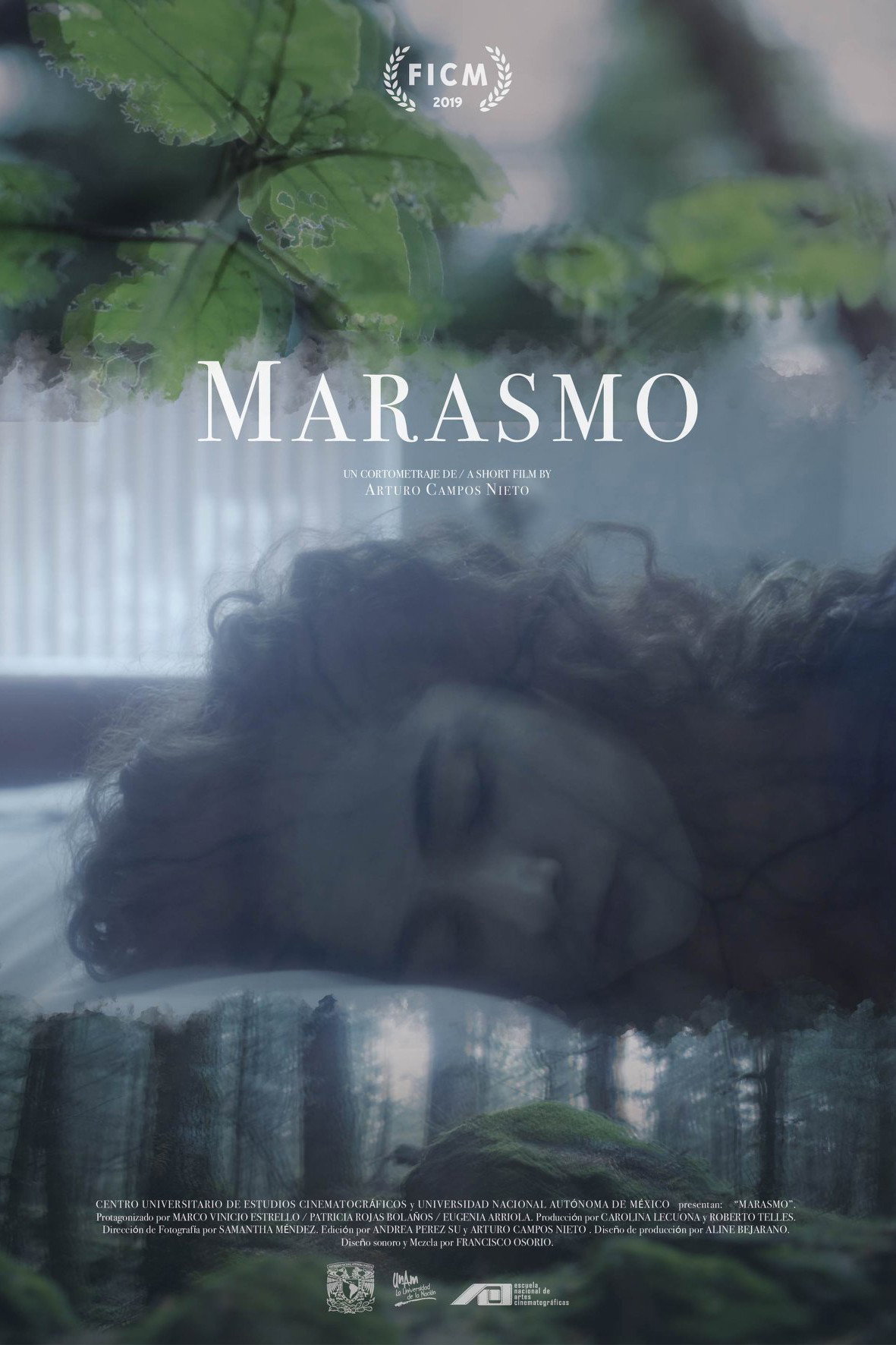 Marasmus (2019) poster