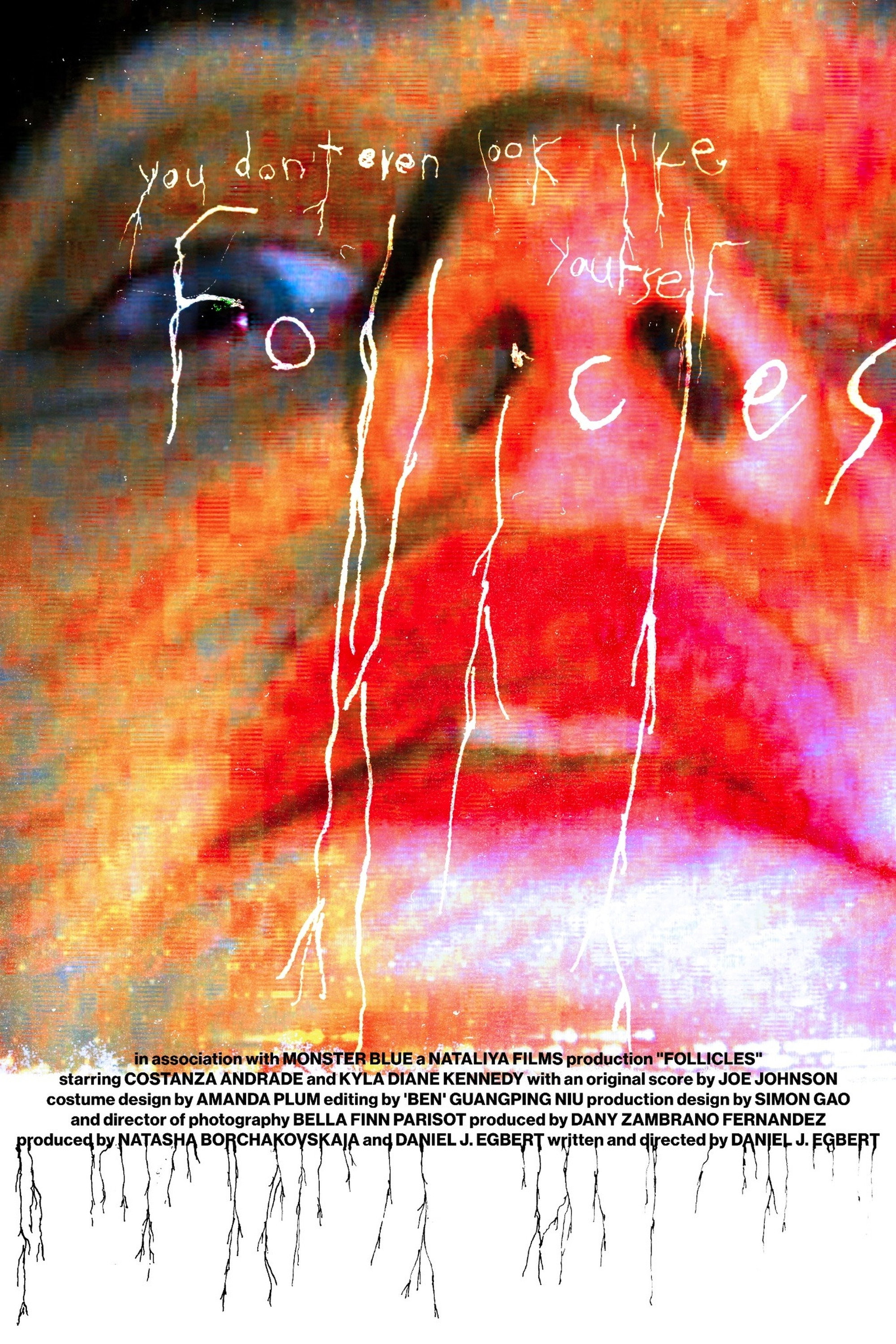 FOLLICLES (2026) poster