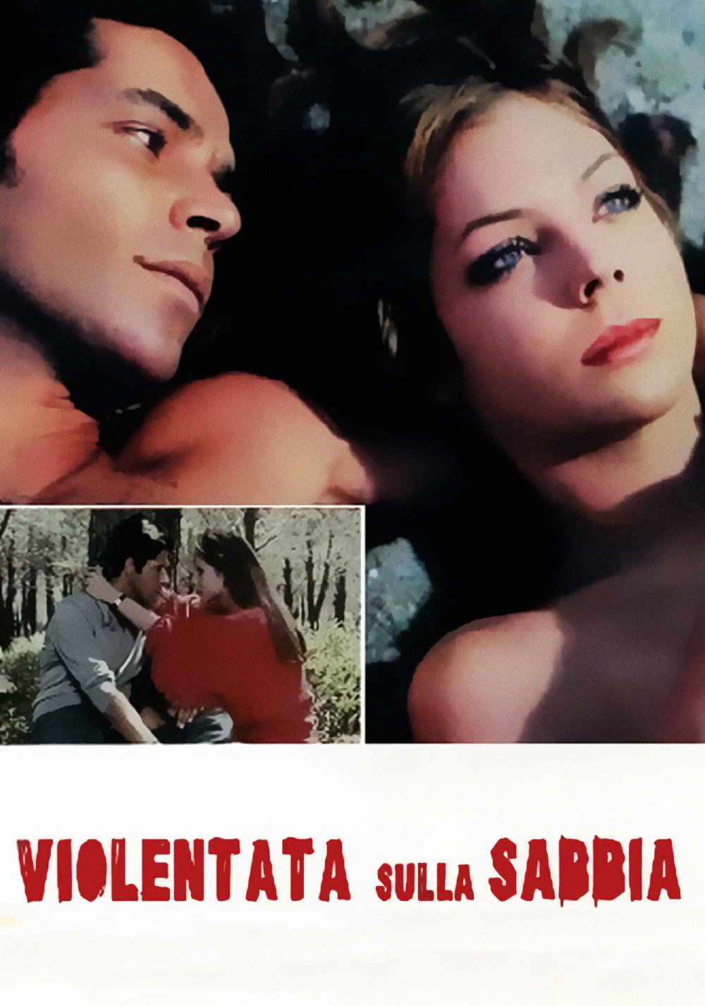 Raped On The Beach (1971) poster