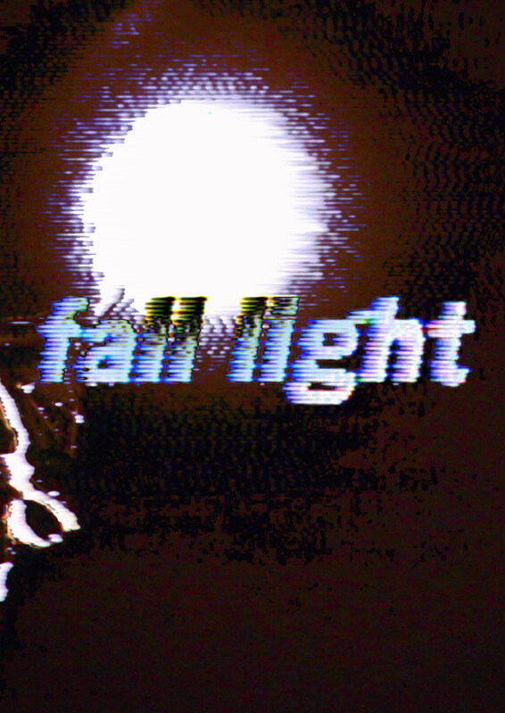 fall light (2024) poster