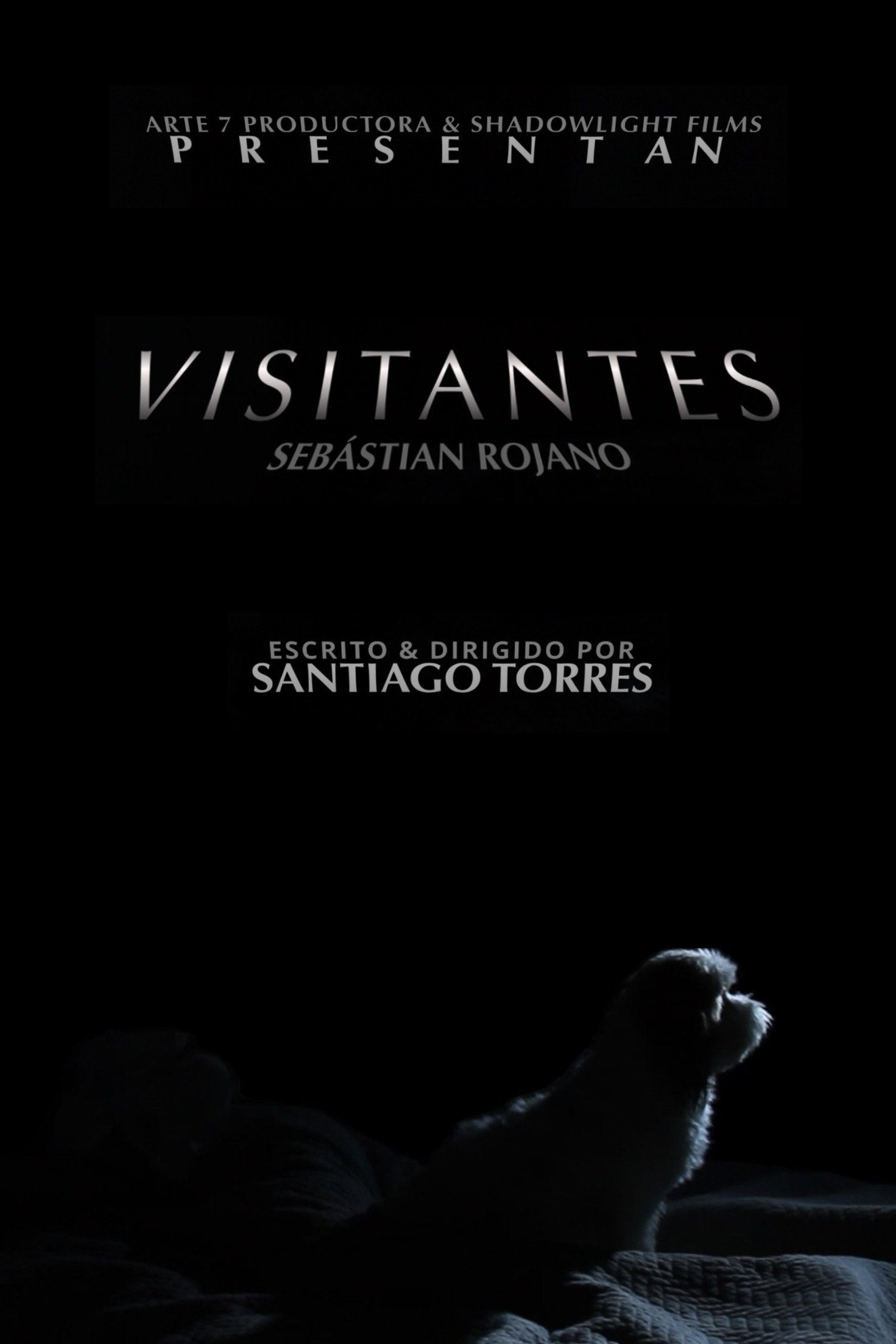Visitors (2023) poster