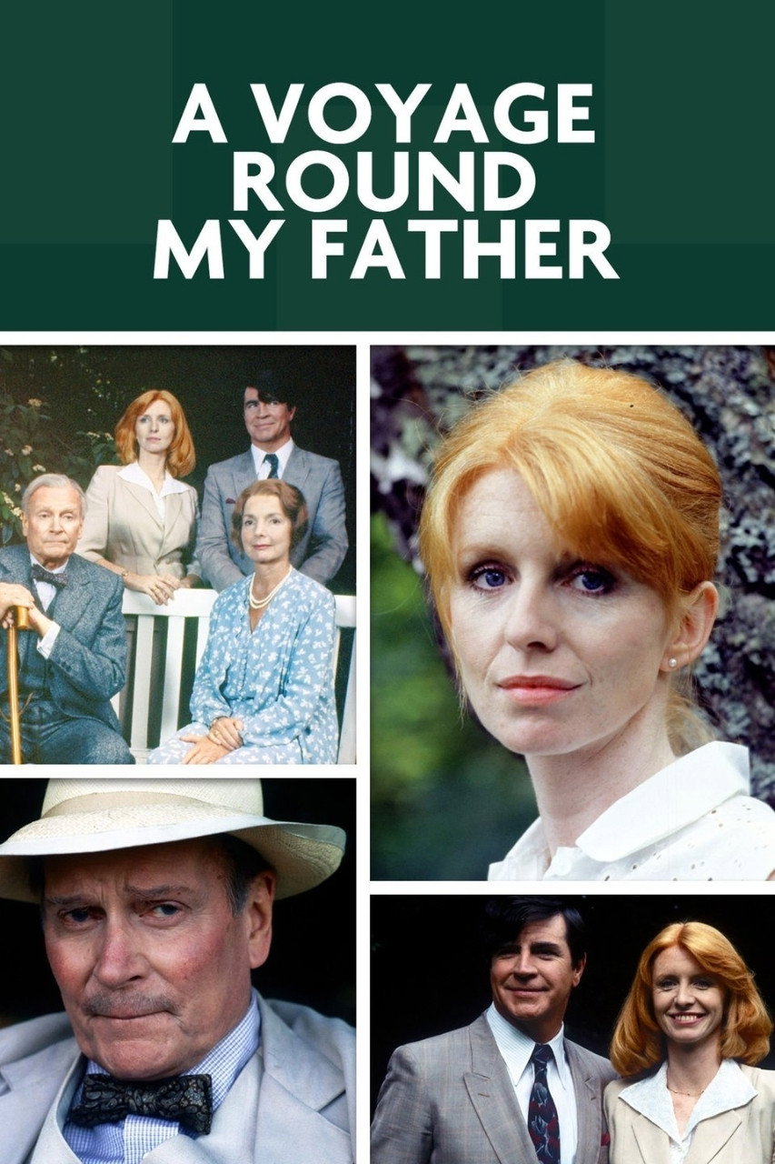 A Voyage Round My Father (1984) poster