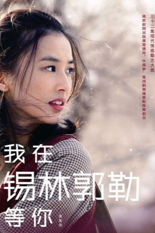 我在锡林郭勒等你 (2015) poster