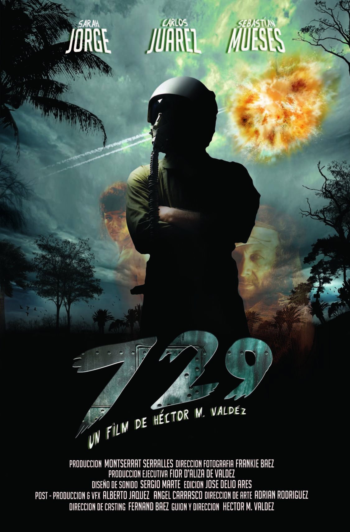 #729 (2011) poster