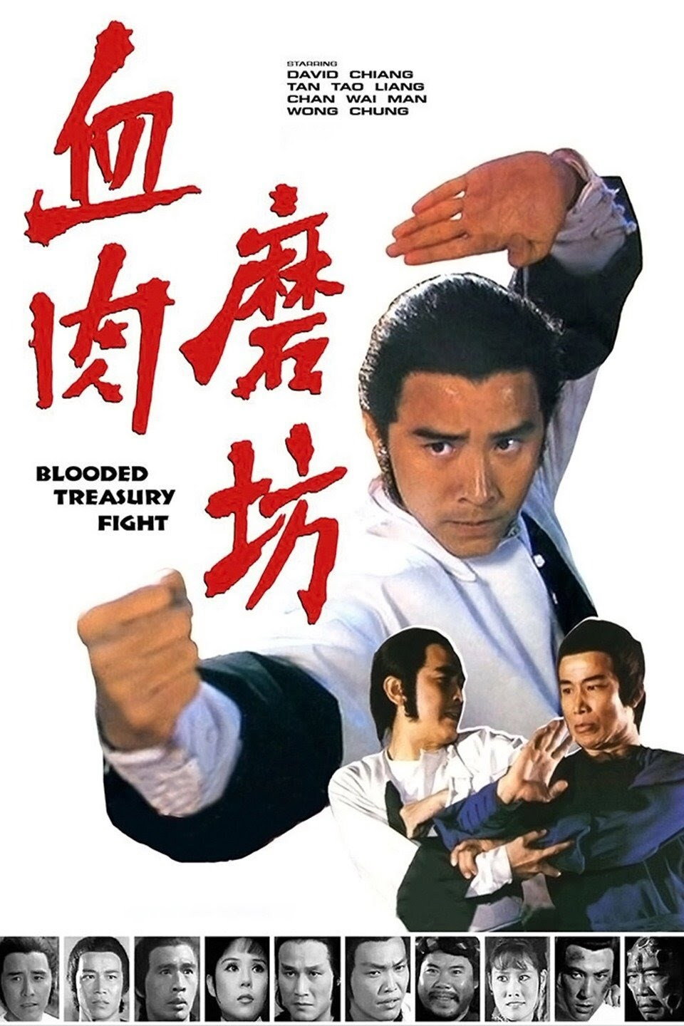 Blooded Treasury Fight (1979) poster