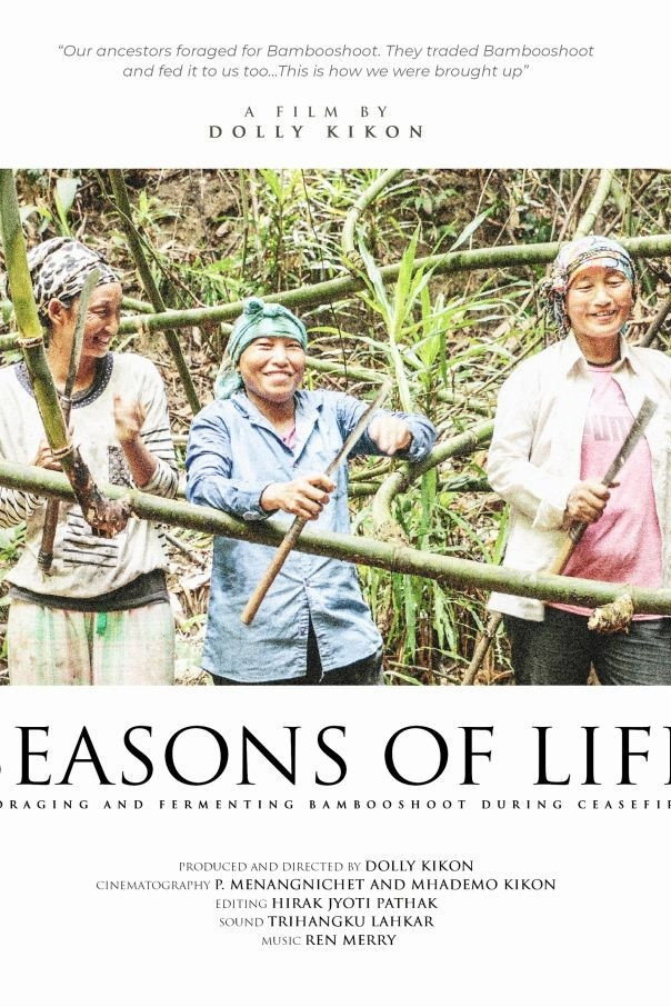 Seasons of Life (2020) poster