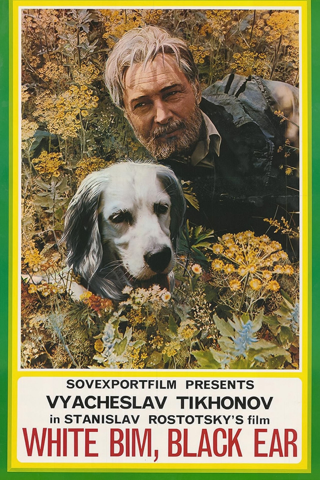 White Bim Black Ear (1977) poster