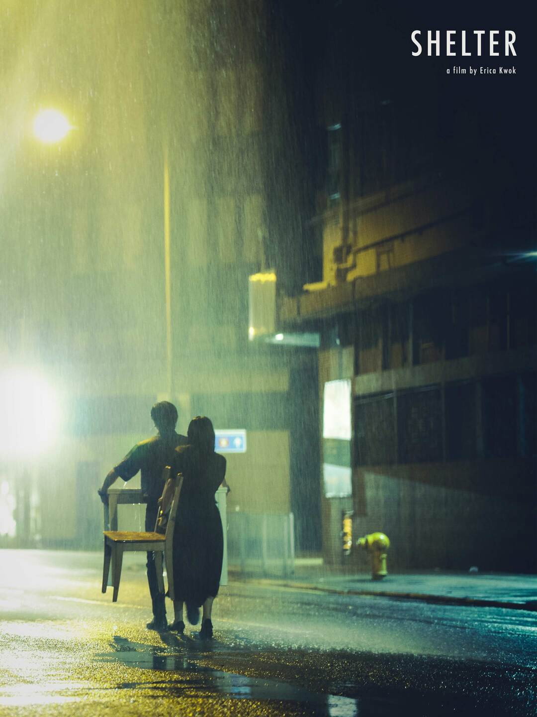 Shelter (2020) poster