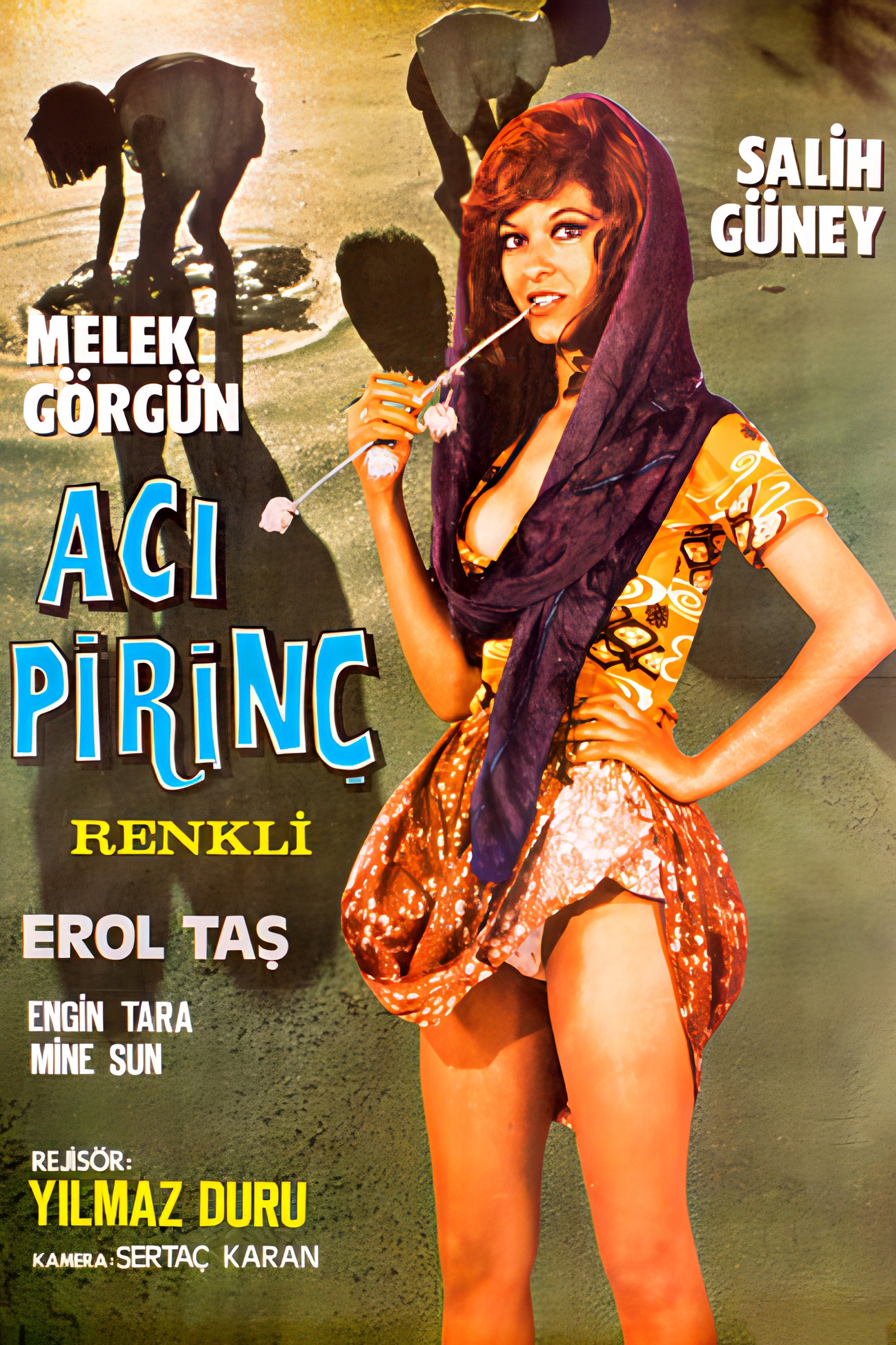 Acı Pirinç (1972) poster