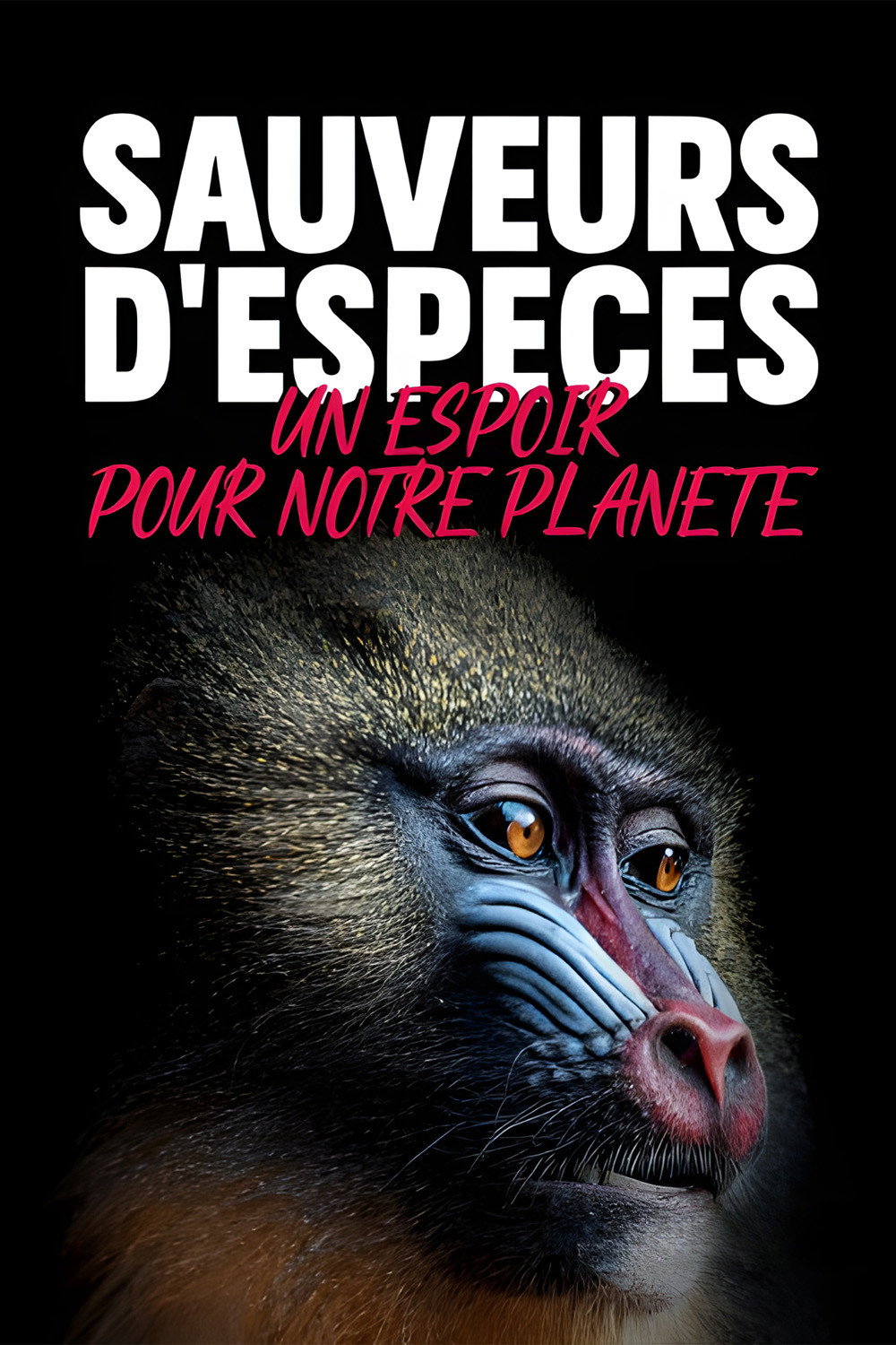 Jane Goodall and the Guardians of Biodiversity (2020) poster