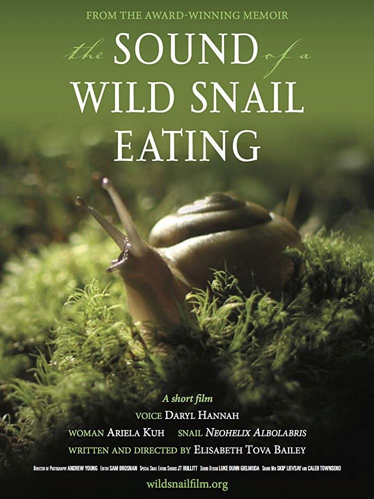 The Sound of a Wild Snail Eating (2019) poster