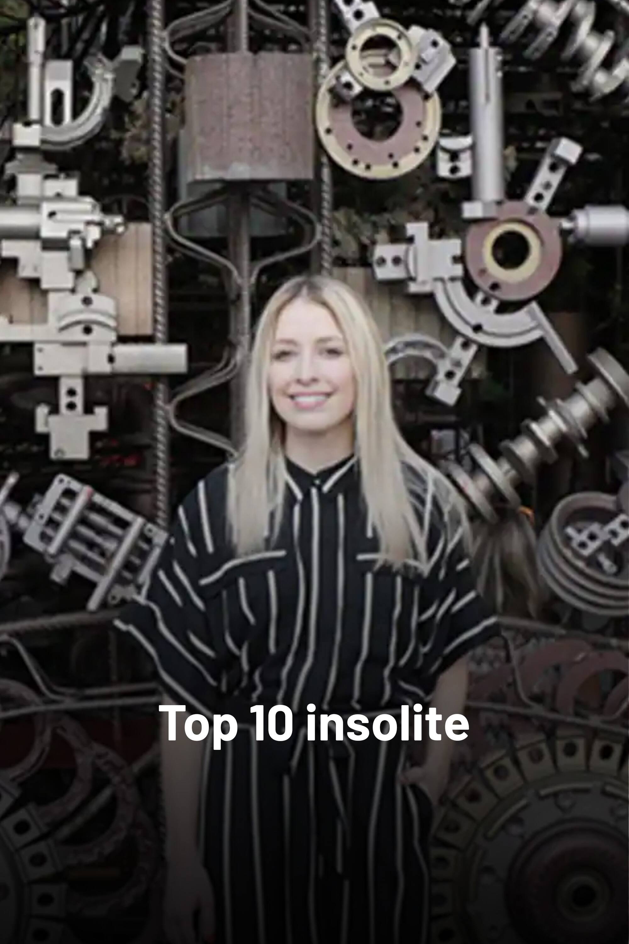 Top 10 insolite (2019) poster