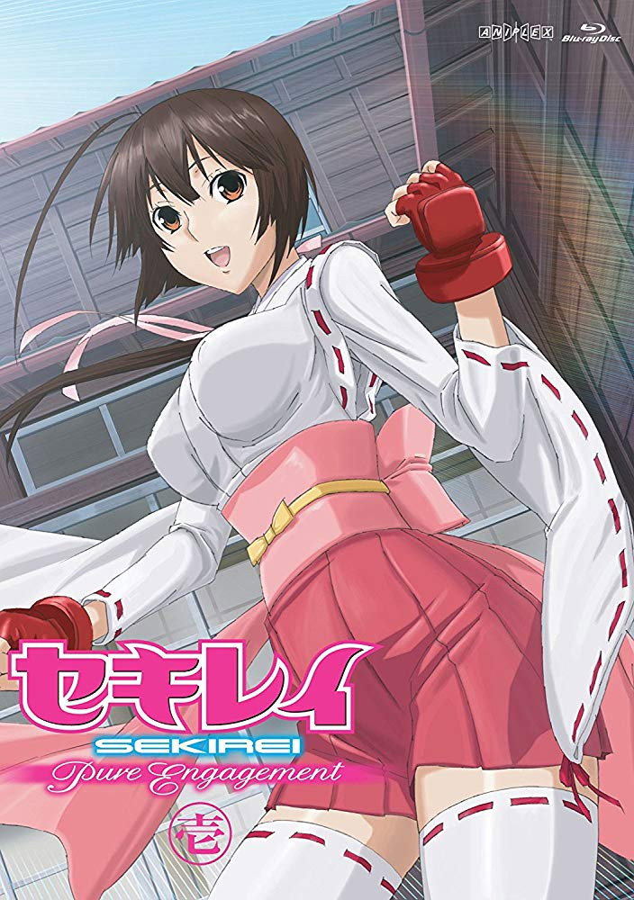 Sekirei Pure Engagement Special (2010) poster