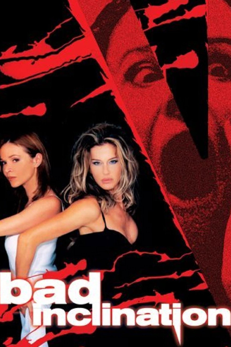 Bad Inclination (2003) poster