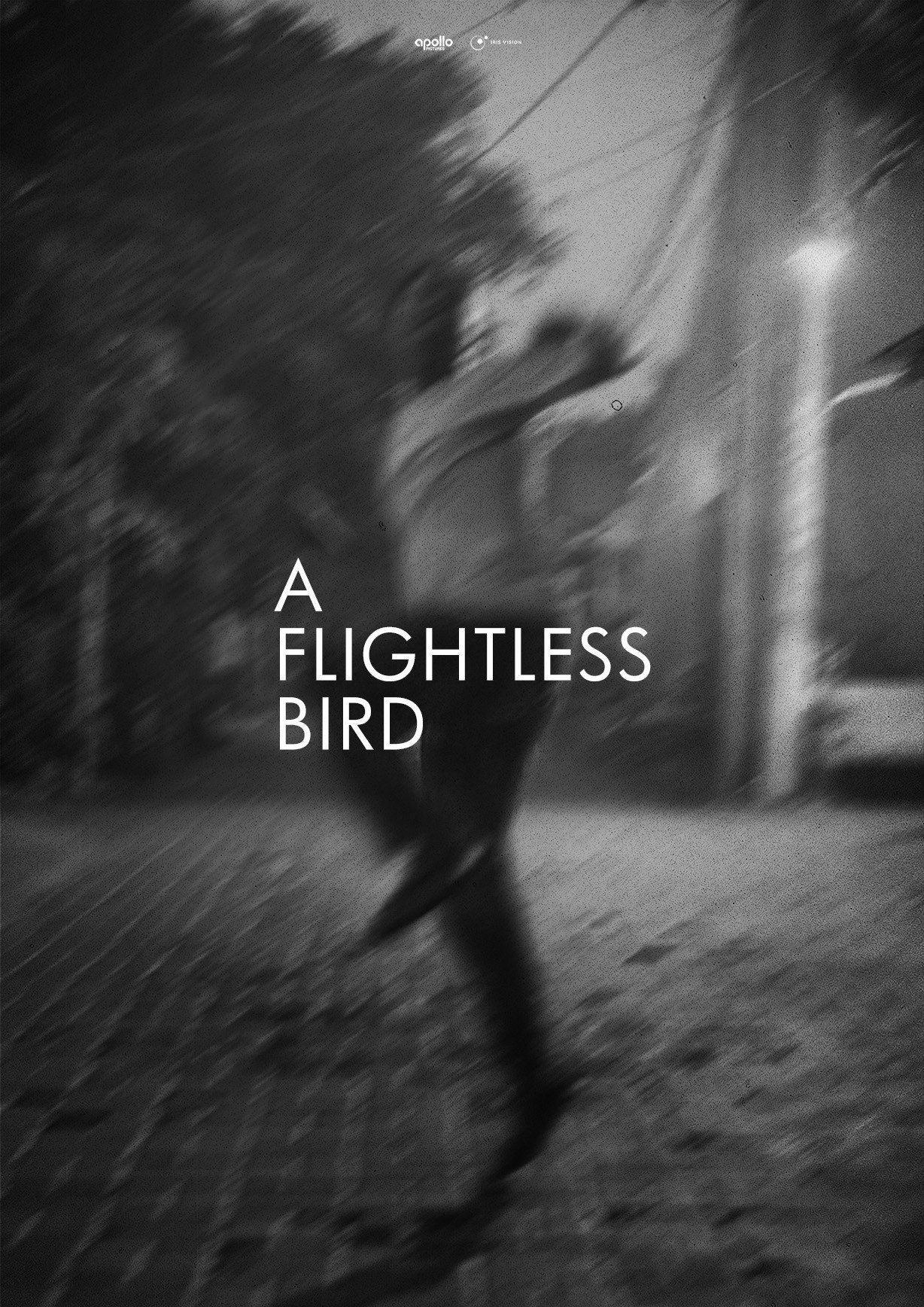A Flightless Bird (2026) poster