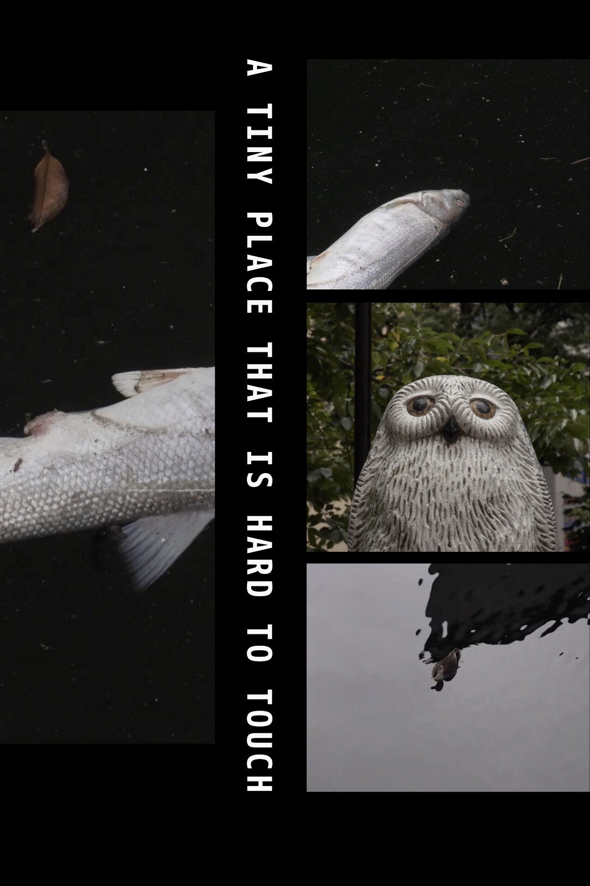 A Tiny Place That Is Hard to Touch (2019) poster