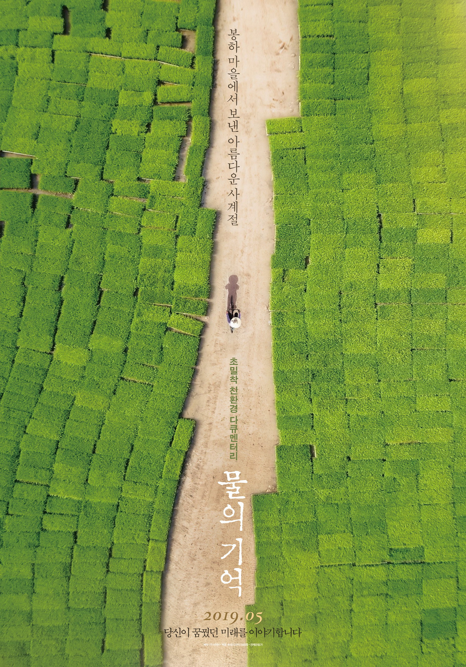 The Memory of Water (2019) poster