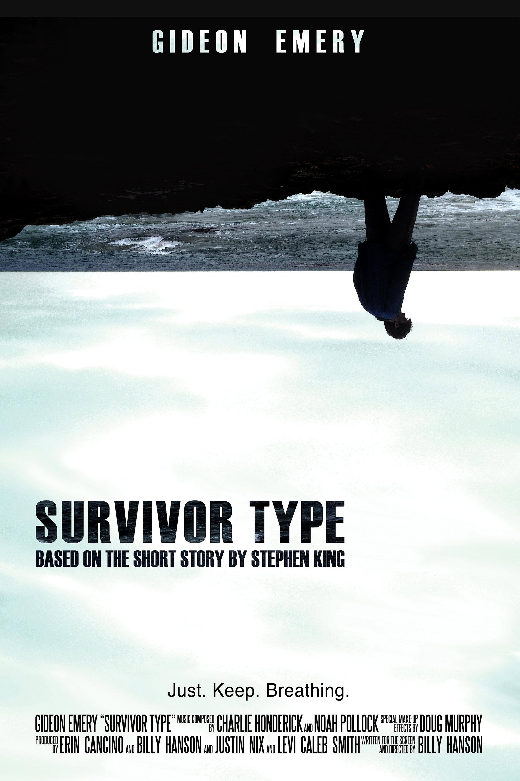 Survivor Type (2012) poster