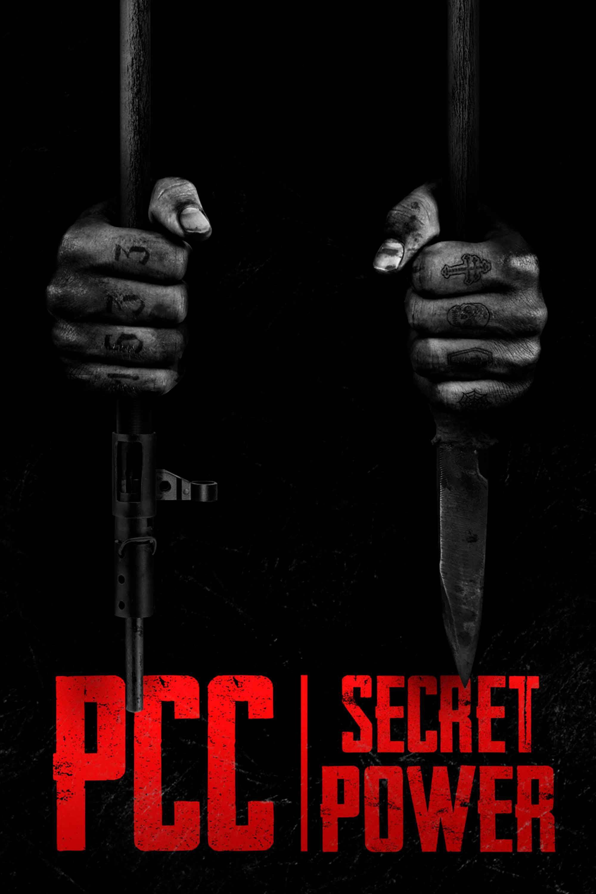 PCC, Secret Power (2022) poster