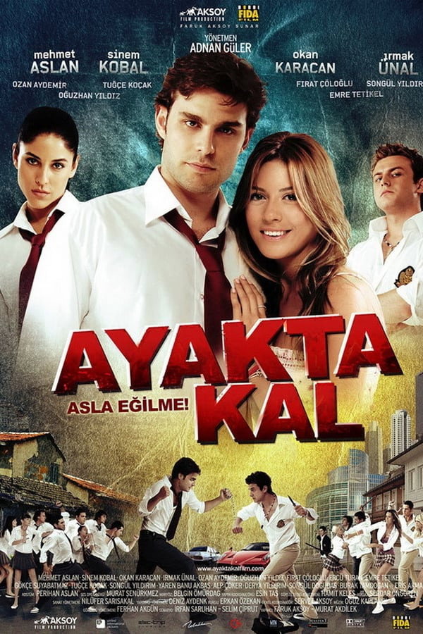 Standing Still (2009) poster