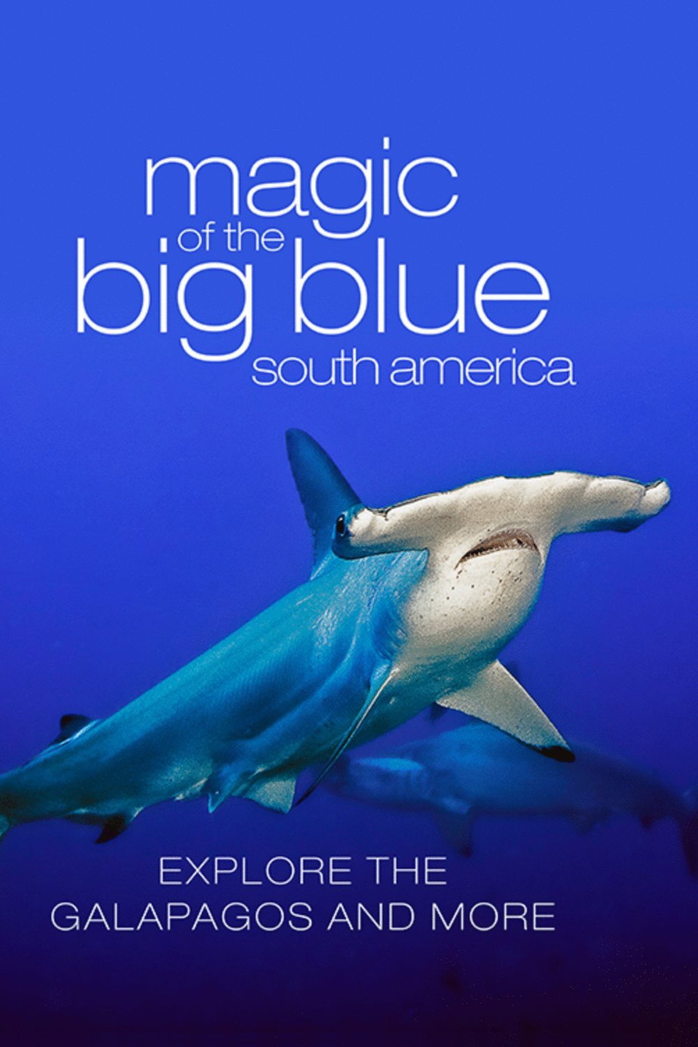 The Magic of the Big Blue. Seven Continents (2013) poster