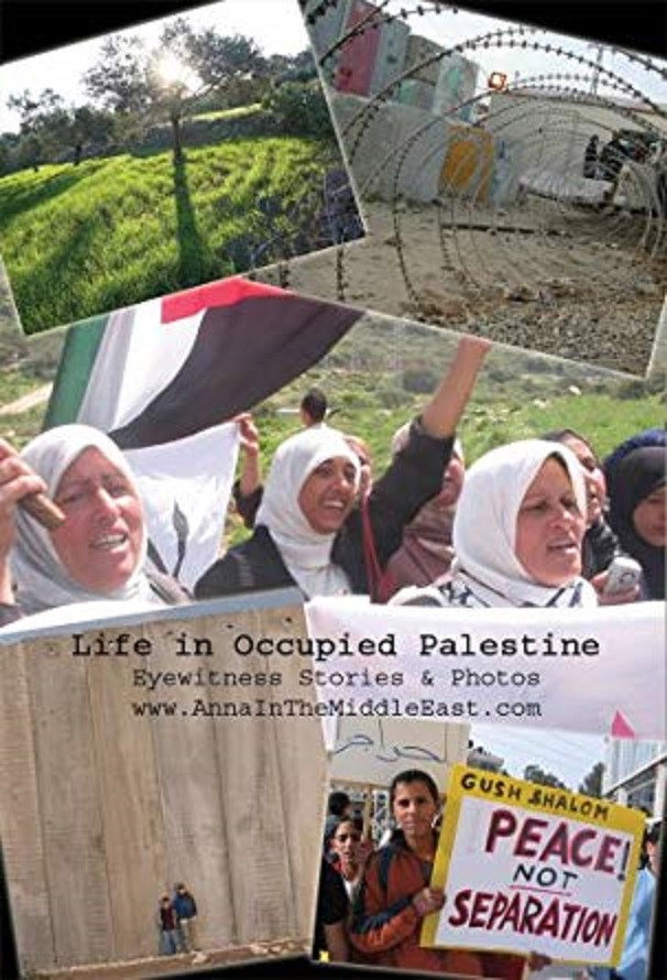 Life in Occupied Palestine: Eyewitness Stories & Photos (2008) poster